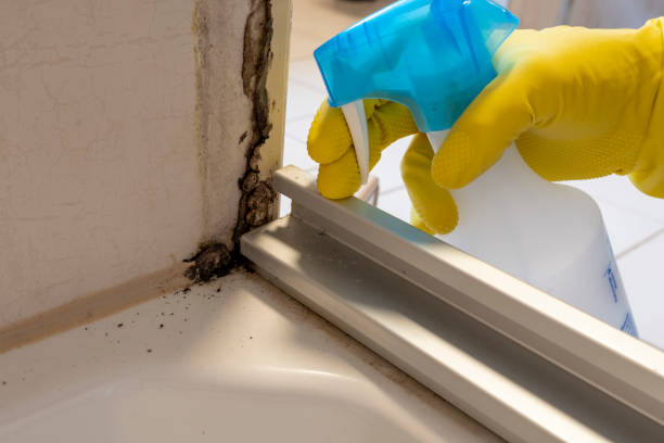 Best Mold Remediation  in Garland, TX