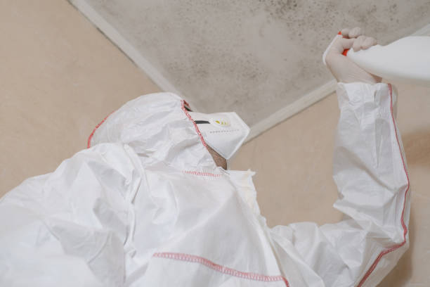 Trusted Garland, TX Mold Removal Experts