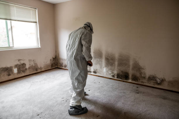 Best Mold Testing  in Garland, TX